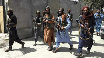 Afghanistan: Can the Taliban Survive This Year?