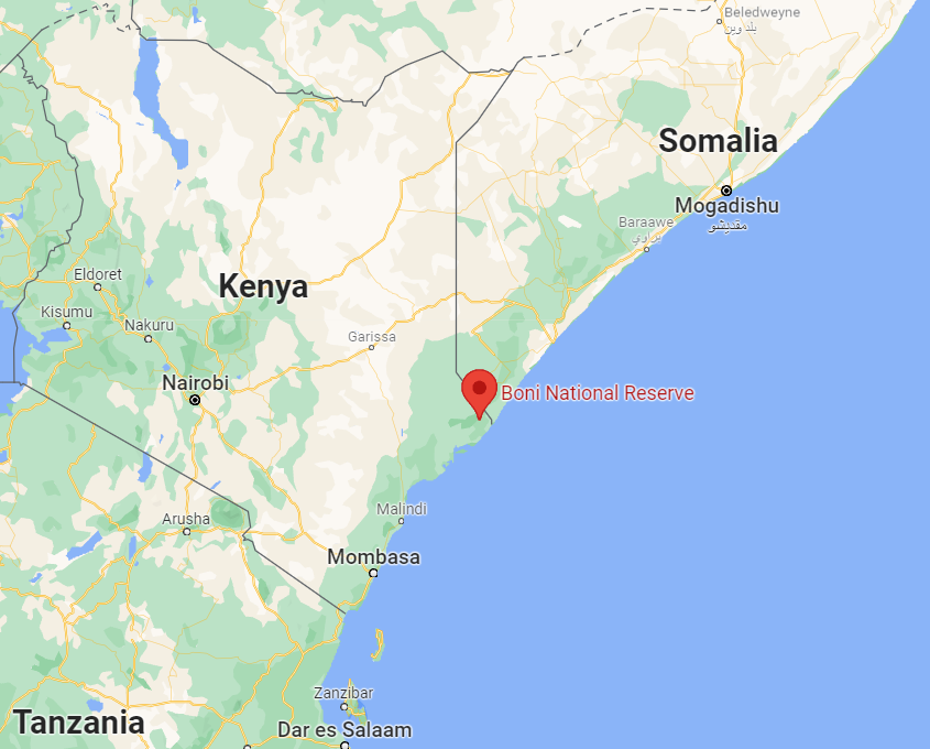 Kenya: Boni Forest as Notorious Sanctuary for Al-Shabaab Terrorists